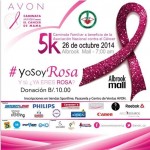 AVON: Caminata Mundial Contra El Càncer De Mama.