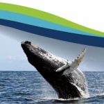 Panama Bay Tours
