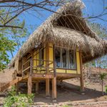 Eco Venao