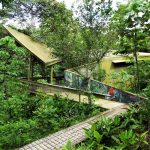 Paga $6 por una entrada para residentes para Panamá Rainforest Discovery Center (el valor corriente es $12). Hay opciones de entrada para extranjeros y niños.